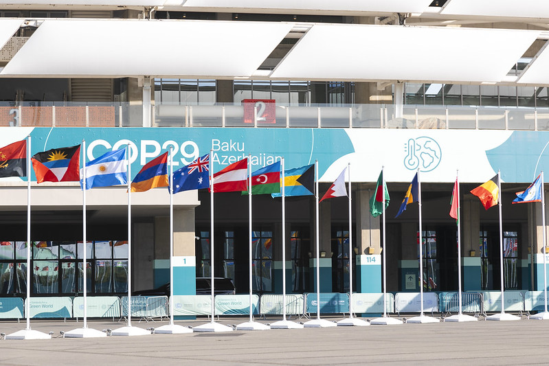 COP29