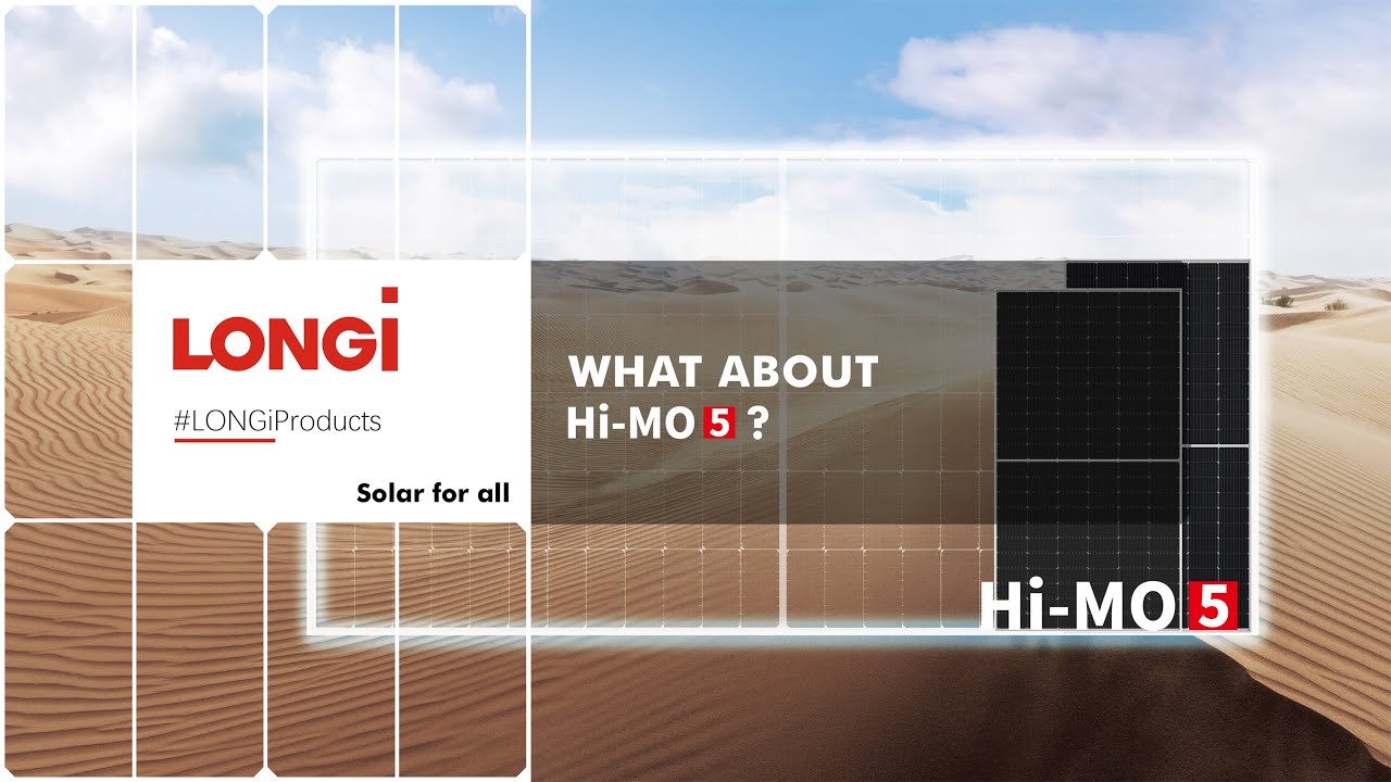 longi_himo_5