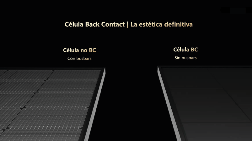 back contact