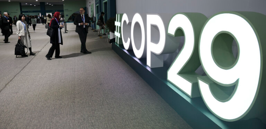 COP29